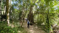 Wanderung 