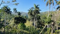 Wanderung 