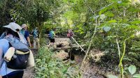 Wanderung zum Wasserfall 