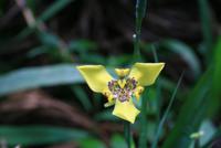 Wanderung_Regenwald