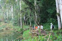 Wanderung_Regenwald
