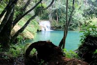 Wanderung_Regenwald