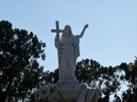 auf dem Friedhof