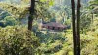 danach kleine Wanderung 