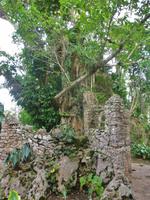 im Jardin Soroa