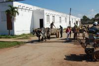 in Puerto Esperanza