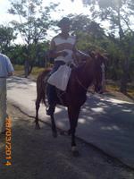like a Cowboy