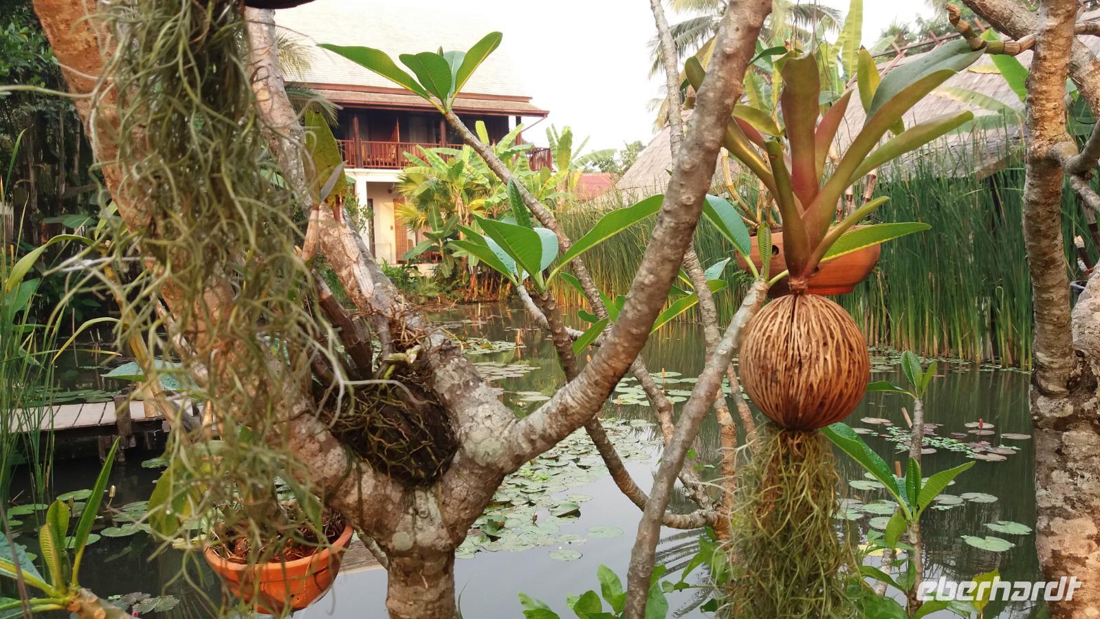 Hotelanlage Maison Dalabua in Luang Prabang