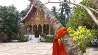 Tempelbesuch in Luang Prabang - Wat Pa Phai