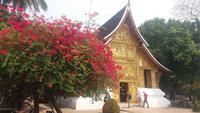 Wat Xieng Thong - ältester Tempel von Luang Prabang