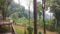 Falls View Resort 