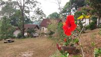 Falls View Resort 