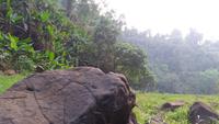Falls View Resort 
