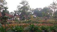 Falls View Resort 