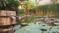 Hotelanlage Maison Dalabua in Luang Prabang