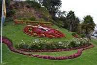 Blumenuhr in Viña del Mar