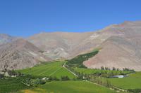 Ausflug ins Elqui-Tal