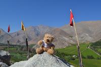 Ausflug ins Elqui-Tal