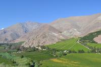 Ausflug ins Elqui-Tal