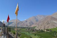 Ausflug ins Elqui-Tal
