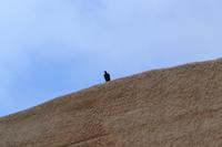 Ruinen von Chan Chan - Hauptstadt des Chimú-Reiches