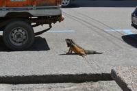 Manta - Einwohner von Manta