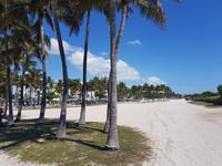 Miami Beach