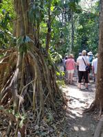 Carara National Park Costa Rica
