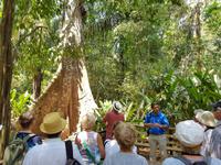 Carara National Park Costa Rica