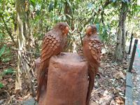 Carara National Park Costa Rica