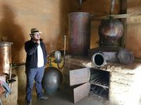 die Destlería Pisco Mistral 