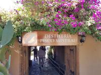 die Destlería Pisco Mistral 