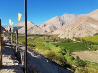 Elqui Tal