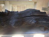 IMG_20171230_110952