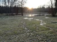 IMG_20171231_101859