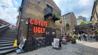 12 – London, Camden Market, Coyote Ugly