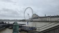 London Eye am Morgen