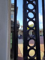 Durch den Zaun gelinst