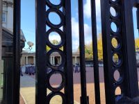 Durch den Zaun gelinst