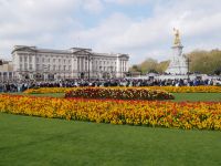 Buckingham Palace