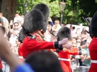 Bärenfellmützen: Kann man damit noch was sehen? 