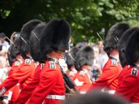 Wie warm ist das eigentlich unter einer Bärenfellmütze?