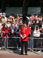 der -tut- ... sieht nix