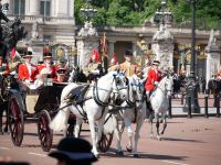 King and Queen Consort