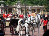 Charles und Camilla, links im Bild, zu Ross, Princess Anne