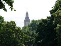 London ist ein Wald! 