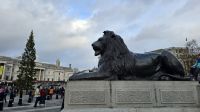 gut bewacht...Trafalger Square