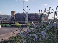 Kirschblüte an der ABBA-Arena &ndash; &copy; Andreas Böcker (Eberhardt TRAVEL)