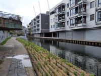 Schwimmende Beete (Regents Canal) &ndash; &copy; Andreas Böcker (Eberhardt TRAVEL)