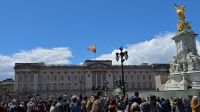 Buckingham Palast- Überflüge der RAF